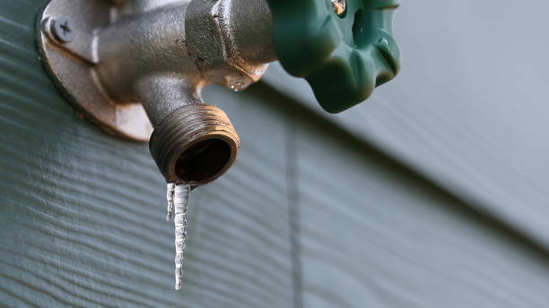 Best Residential Plumbing Services  in Bishop, TX
